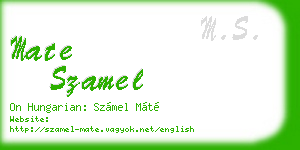 mate szamel business card